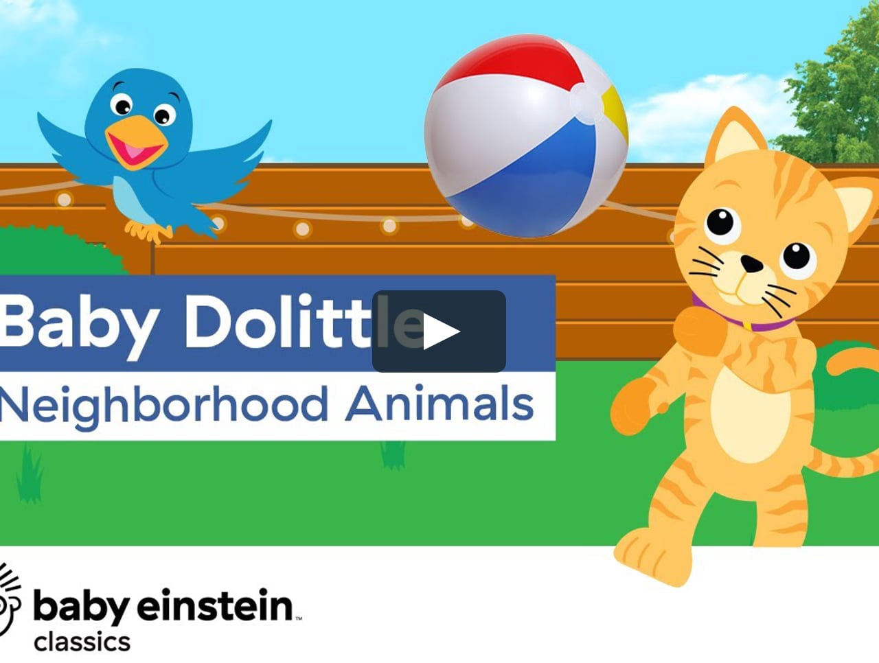 baby dolittle neighborhood animals video