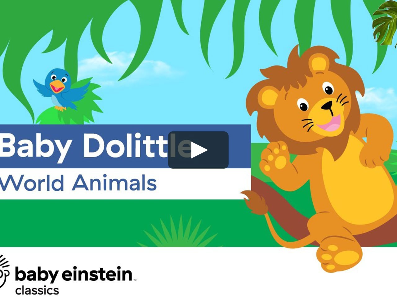 Baby Einstein Classics Season 1 Episode 3 Baby Dolittle World Animals On Vimeo Baby Einstein Classics Season 1 Episode 3 Baby Dolittle World Animals On Vimeo