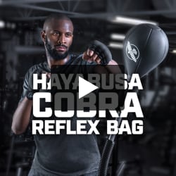 Hayabusa Cobra Reflex Bag  Boxing Punching Bag • Hayabusa