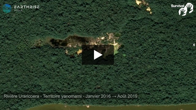 Déforestation dévastatrice dans le territoire yanomami.mp4