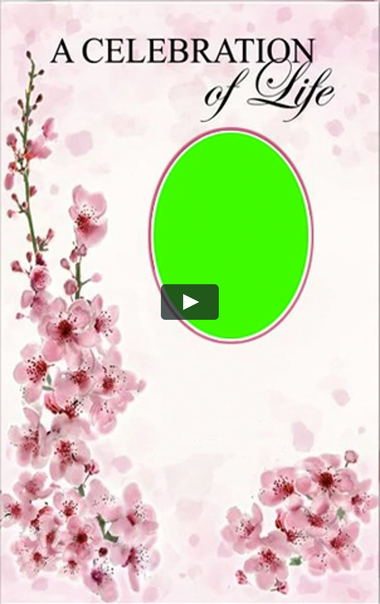 Celebration Of Life Obituary Meme Template Stan Twitter Mp4 On Vimeo Celebration Of Life Obituary Meme Template Stan Twitter Mp4 On Vimeo