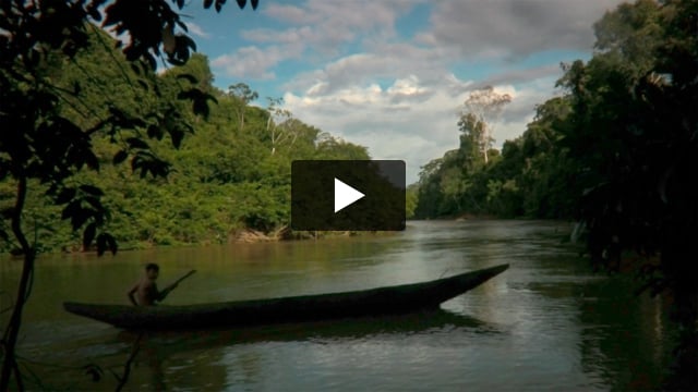 Stranger in the Forest: First Contact in the Amazon
