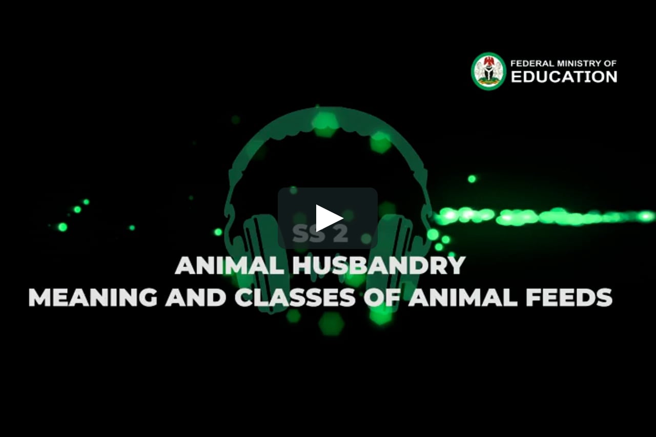 Animal Husbandry Meaning And Classes Of Animals Feeds Ss 2-6 ...