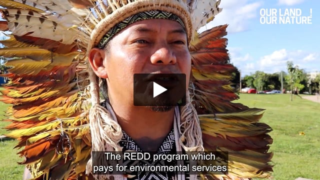 "The main problem we, Indigenous peoples, see is that nature is being traded"