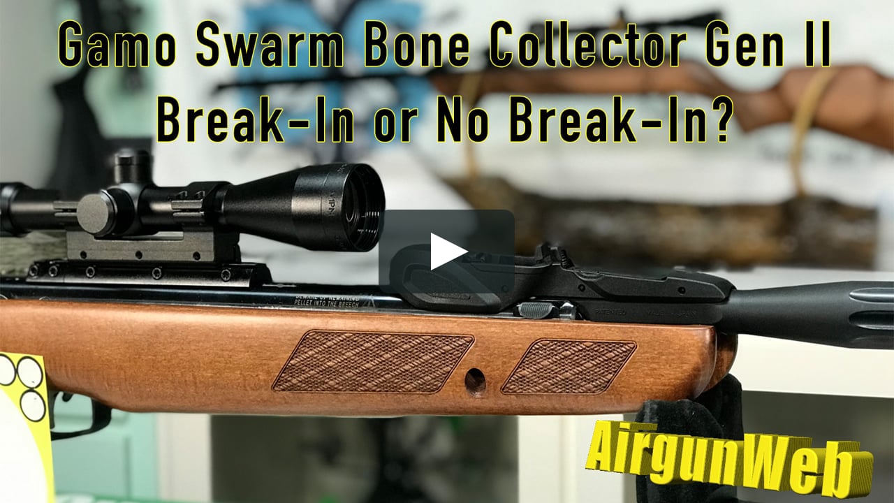AIRGUN REVIEW – The Gamo Swarm Bone Collector Gen II – Break-in Or Not To  Break-in? on Vimeo
