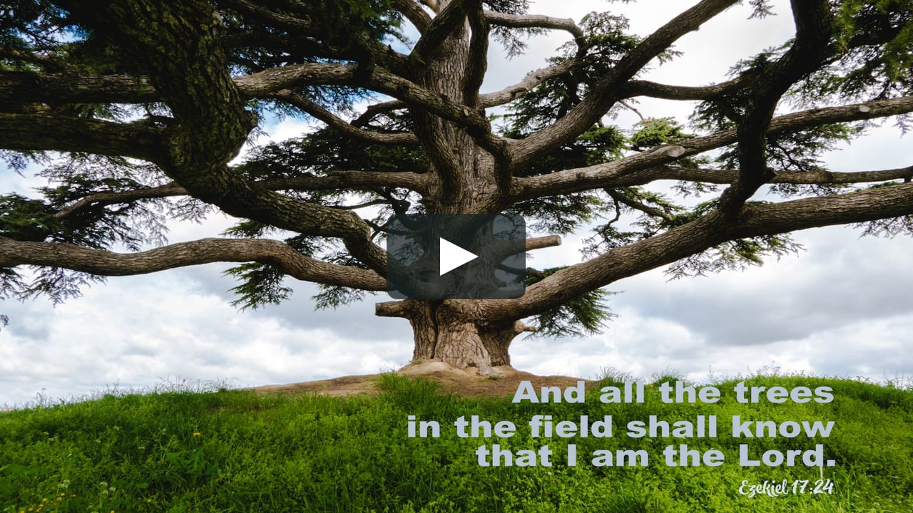 Sunday Worship - June 13, 2021 - Pastor Todd Mathison on Vimeo