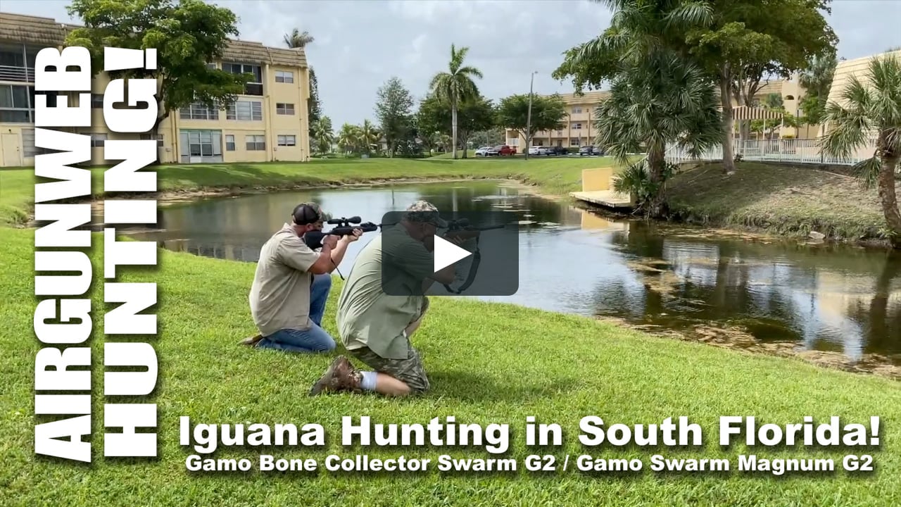 AIRGUN HUNTING - Gamo Bone Collector Swarm Gen 2 / Swarm Magnum Gen 2  Hunting Iguanas! on Vimeo