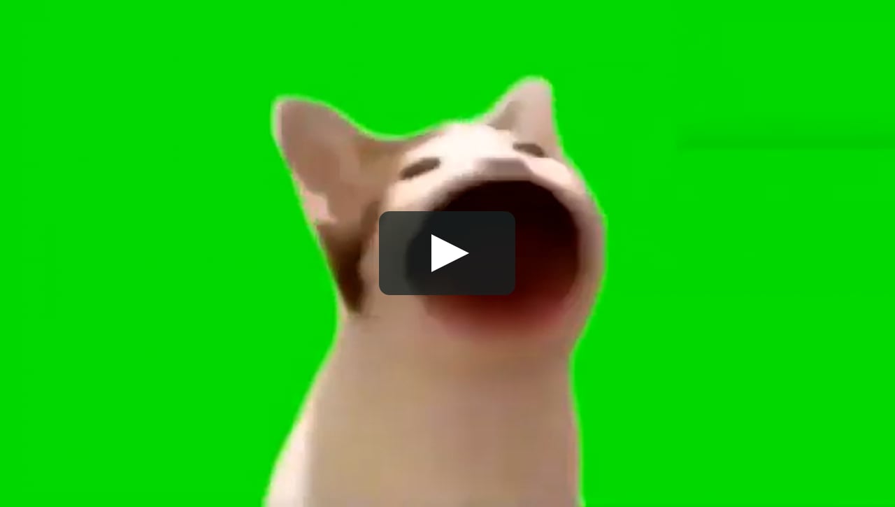 Котенок хромакей