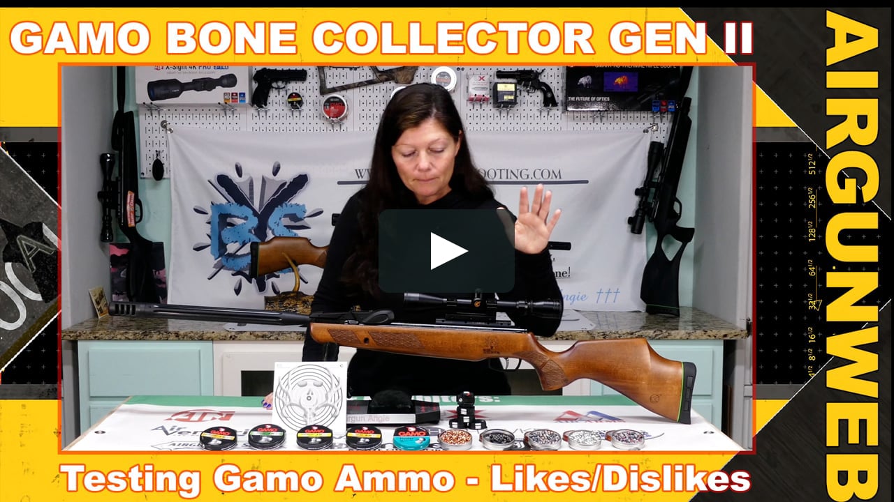 AIRGUN REVIEW – The Gamo Swarm Bone Collector Gen II – Gamo Ammo Test on  Vimeo