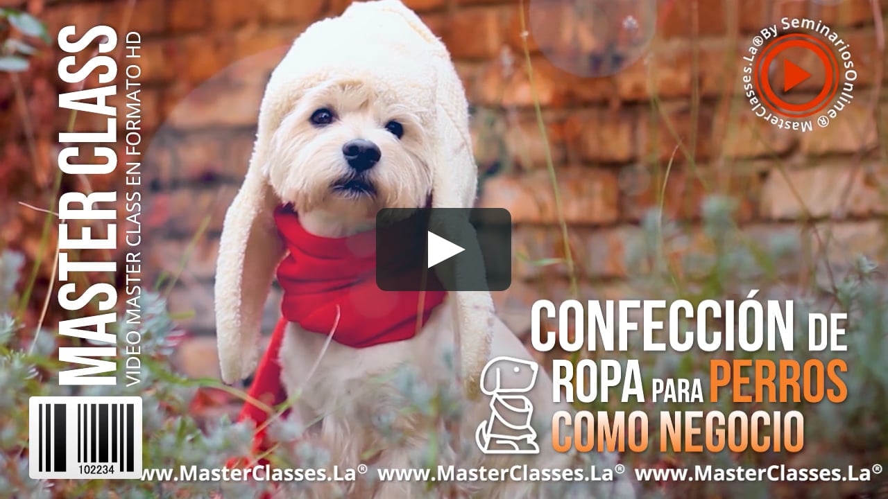 Confección de Ropa para Perros Curso Online on Vimeo