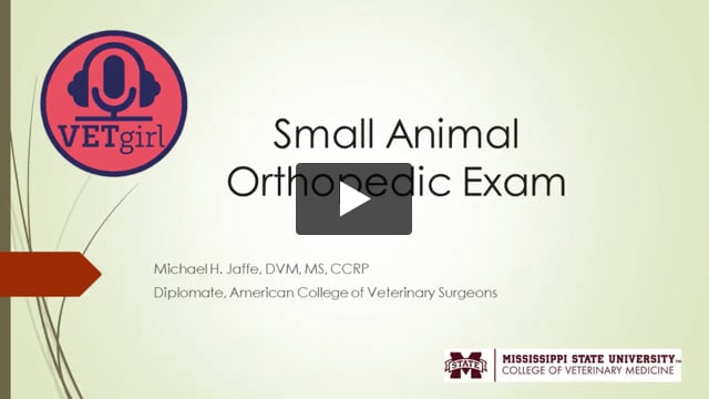 November 2, 2021: A Practical Approach to the Small Animal Orthopedic Exam  | VETgirl Veterinary Continuing Education Webinars
