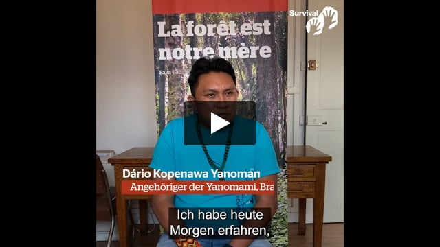 Beunruhigende Berichte über Morde an unkontaktierten Yanomami