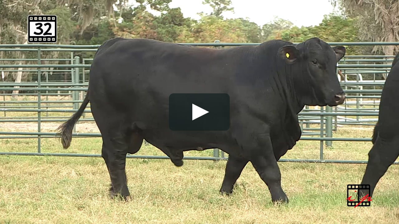 032.mp4 on Vimeo