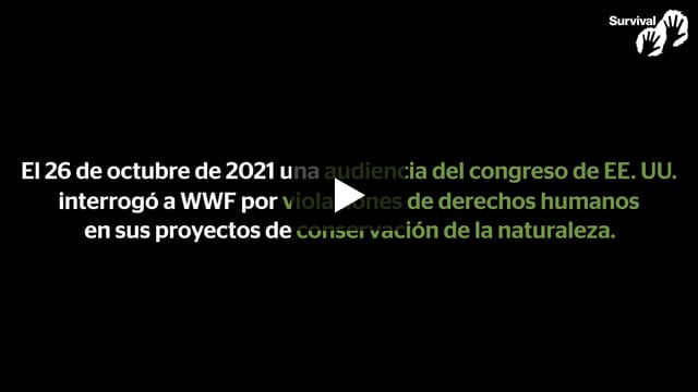 WWF bajo ataque en la audiencia del Congreso de EE. UU.