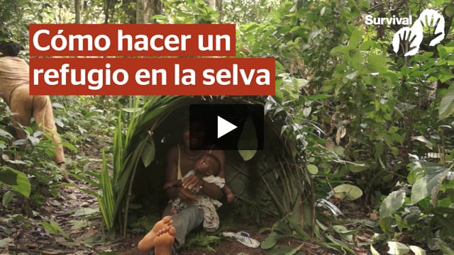 Cómo hacer un refugio en la selva