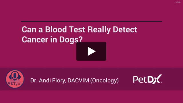 Can a Blood Test Detect Cancer in Dogs: Uncovering the Truth
