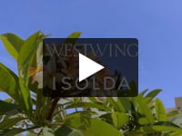 Toalha de Mesa Paisagem - Verde, Verde | WestwingNow
