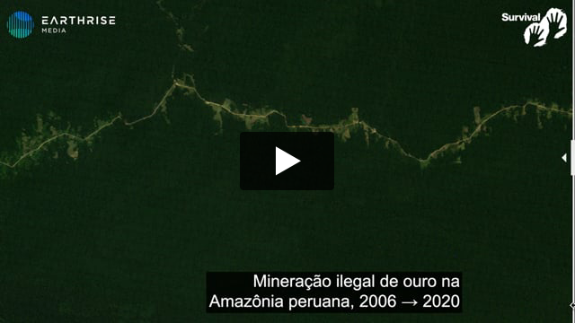 Antes e depois: Amazônia peruana devastada
