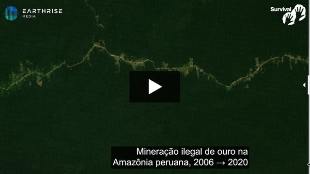 Antes e depois: Amazônia peruana devastada