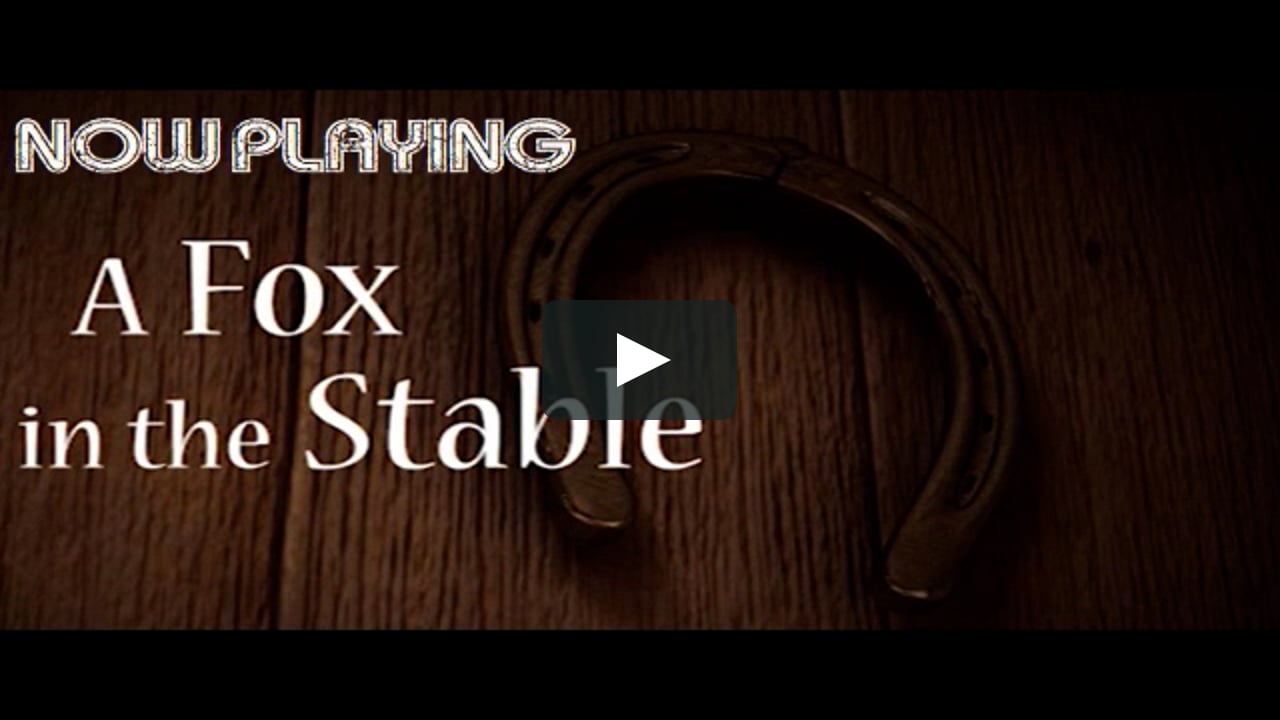 Fox in the stable on Vimeo