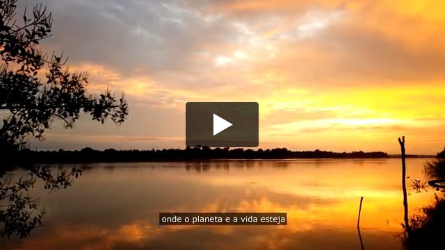 Produtos da Floresta