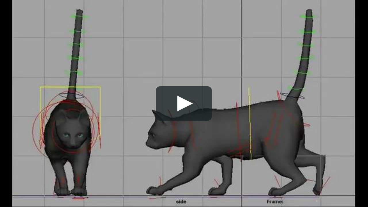 Cat walk-cycle animation on Vimeo