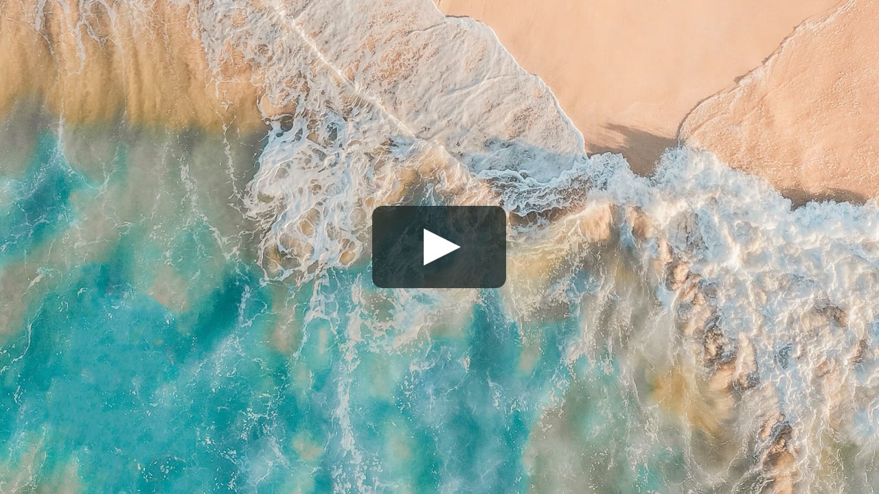 A Walk in Monterey Bay