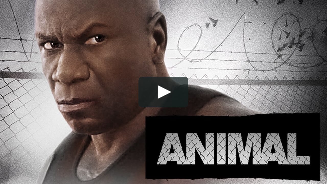 Animal (2005) - Full Movie on Vimeo