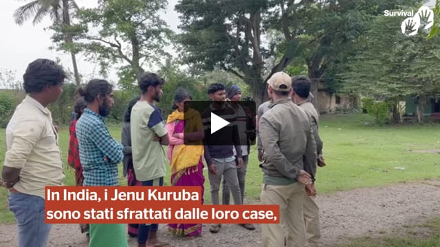 Le guardie forestali impediscono ai Jenu Kuruba di entrare nella loro foresta per pregare