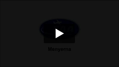 EAA-portalen - Menyerna