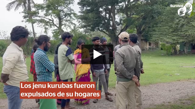 Guardaparques impiden que los jenu kurubas entren en su propio bosque a rezar