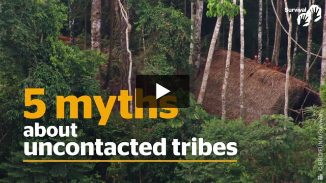 Busted: 5 myths about uncontacted tribes