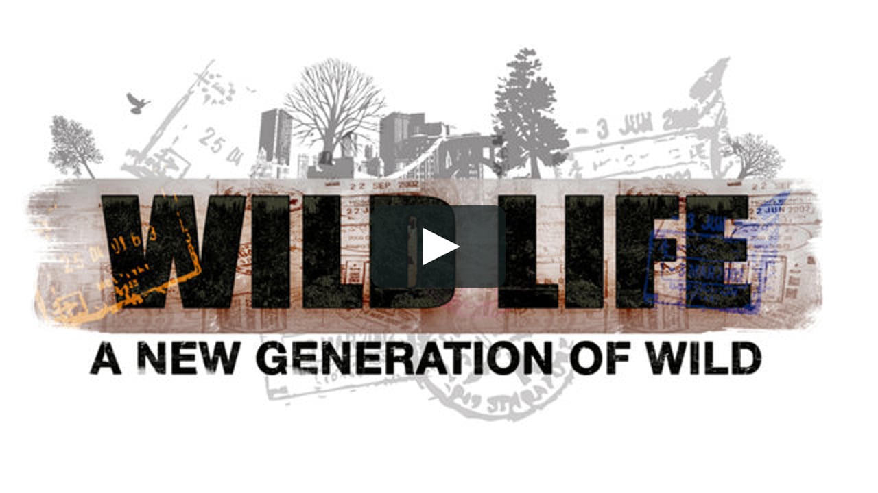 Wild lives. Нью дженерейшен бренд.