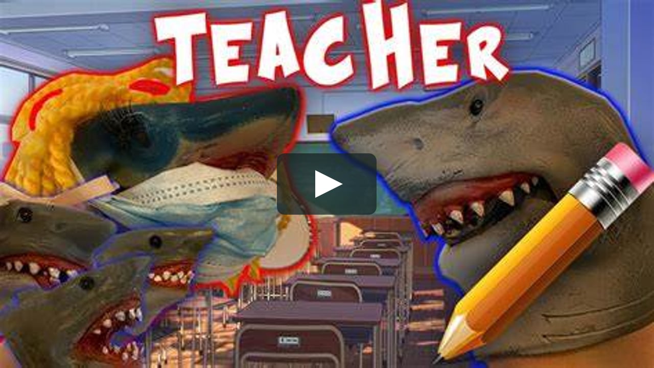 Shark Puppet The Teacher on Vimeo