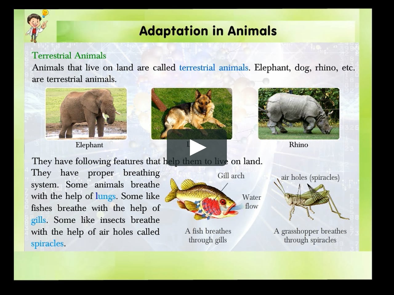 Science 4 - Adaptation in Animals - 4(Animation)MN on Vimeo