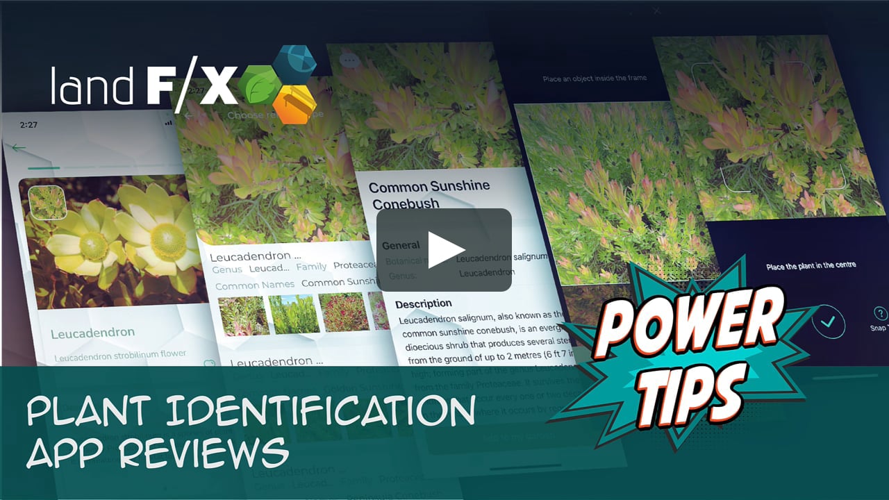 Plant Identification App Reviews on Vimeo