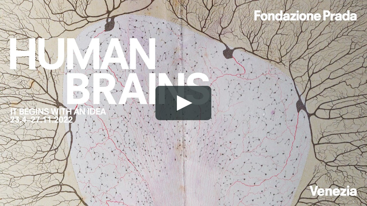 HUMAN BRAINS: It Begins with an Idea | Fondazione Prada, Venezia on Vimeo