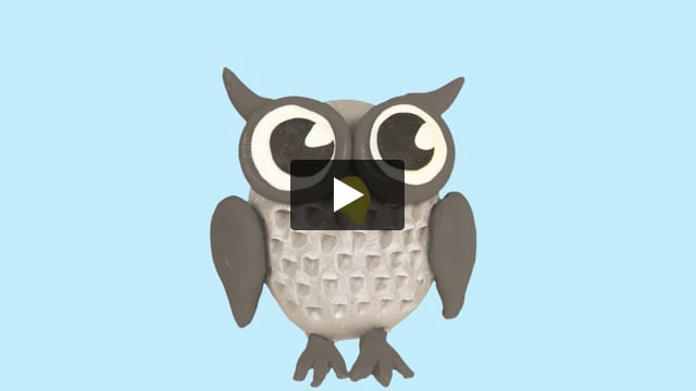 Owl Video
