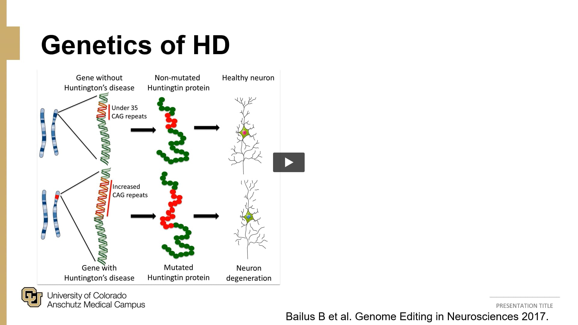 Dr. Emily Forbes on the genetics of HD