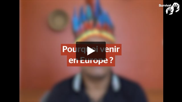 « Nous essayons de défendre notre forêt pour la planète entière. »
