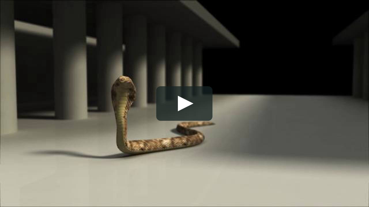 King Cobra Snake Animation on Vimeo