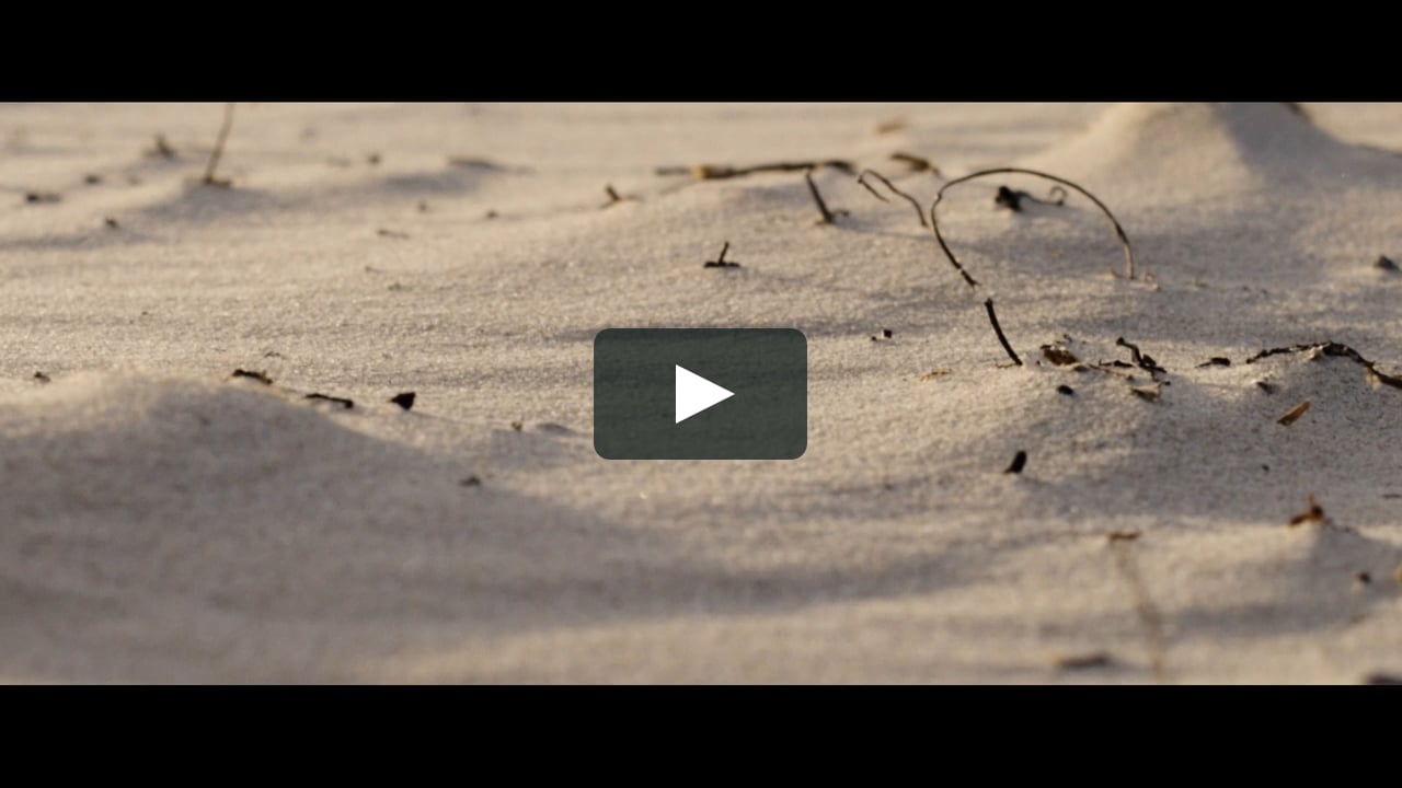 OSTRO ALDINGA BEACH