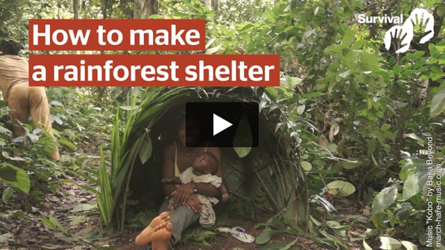 How to make a rainforest shelter!