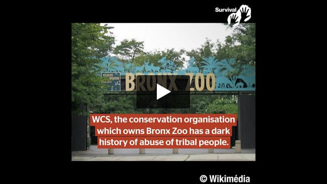 The Hall of Shame: conservation’s racist history