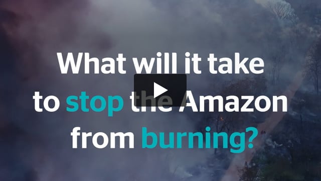 Act Now: Amazon Fires