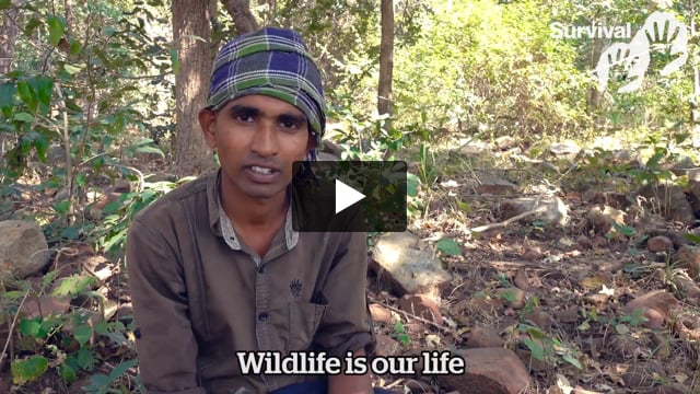 "Wildlife is our life"