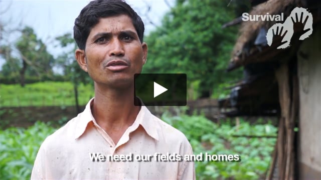 Tribal families evicted for "tiger conservation"