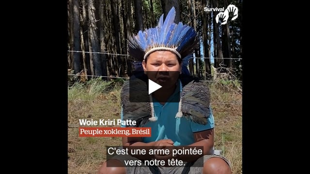 « Le cadre temporel est une arme pointée vers notre tête. »