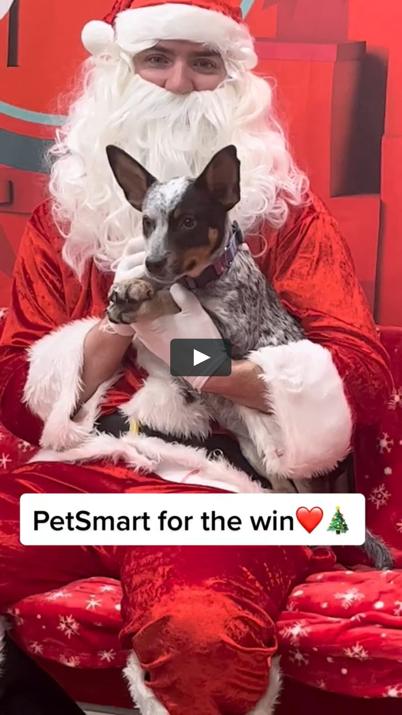 Santa at PetSmart on Vimeo