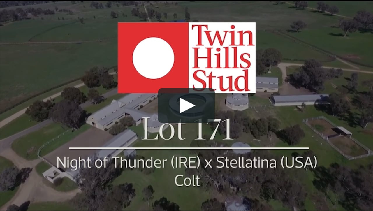 Night Of Thunder x Stellatina ‘21 on Vimeo